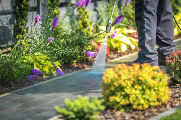 Best Dumpster Area Cleaning  in Warsaw, KY
